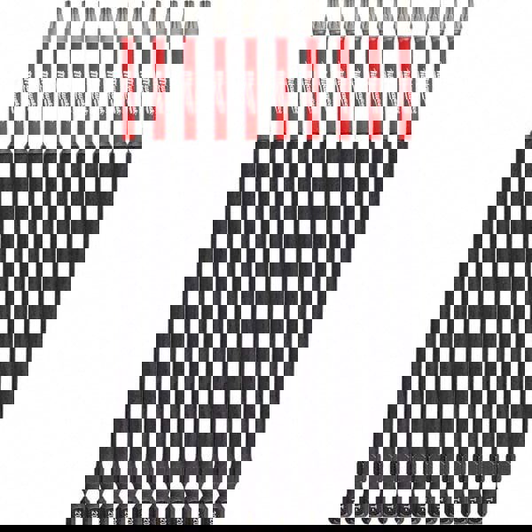 Power Screwdriver Bit: T20 Torx, 1/4